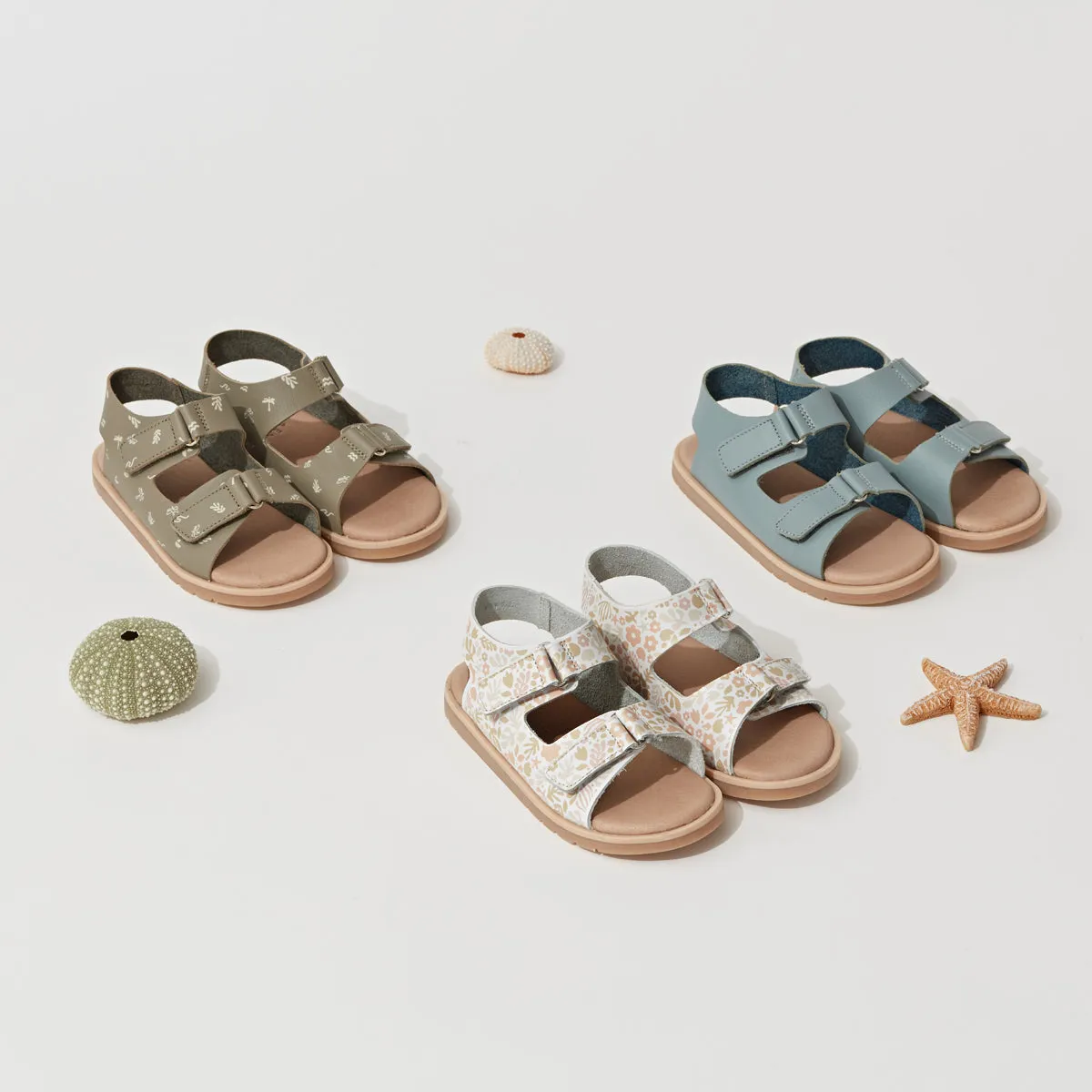 Wilder Sandals (Reef)